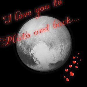 Meet your Posher, Sandy