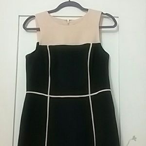 Cute Ann Taylor Loft dress