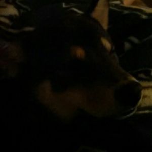 Meet your Posher, Joseph