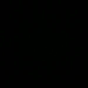 Meet your Posher, Paulette