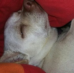 Meet your Posher, Melanie