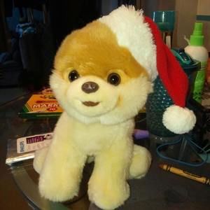 Meet your Posher, Sophie