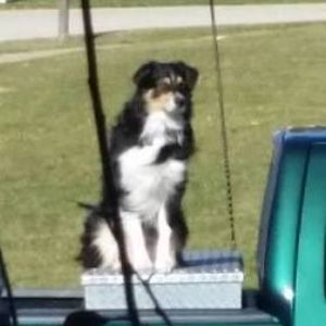 Meet your Posher, Joanne