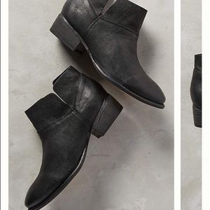 Meet your Posher, Kelli