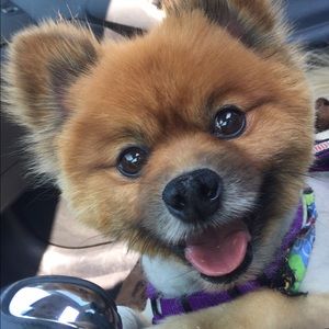 Meet your Posher, Melissa