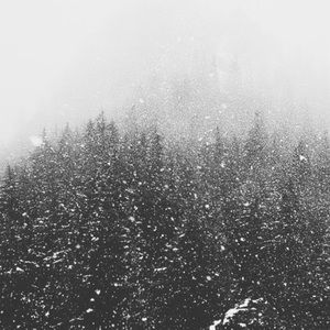 Meet your Posher, Jimmy