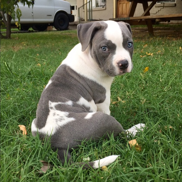 Meet your Posher, Tania - Picture 2 of 3