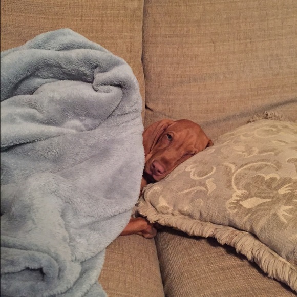 Meet your Posher, Jasna - Picture 1 of 1