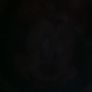 Meet your Posher, Elsa