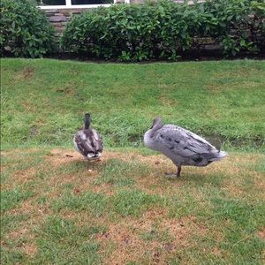 Meet your Posher, Bryan