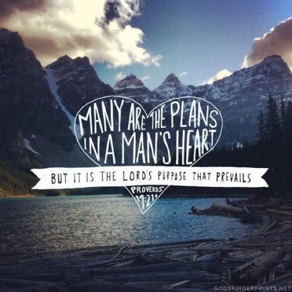 Meet your Posher, Jovelisse - Picture 1 of 1