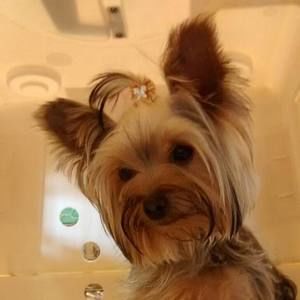 Meet your Posher, Fernanda