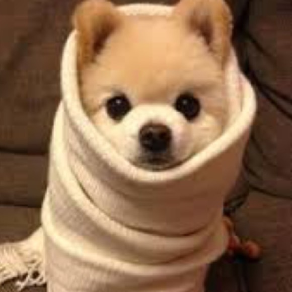 BUNDLE RESERVED!