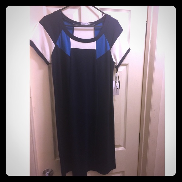 Calvin Klein Mod Dress