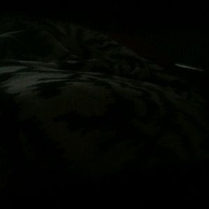 Meet your Posher, Fredale