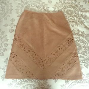Skirt from the Limited