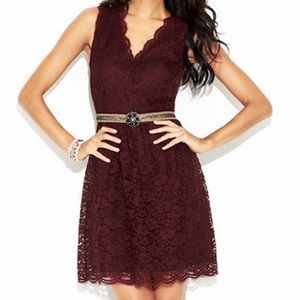 Scallop Lace Dress