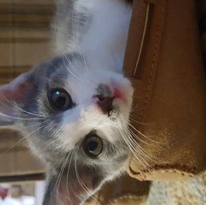 Meet your Posher, Cheryl