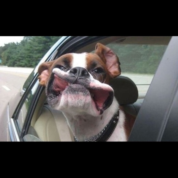 Meet your Posher, Patricia - Picture 1 of 1