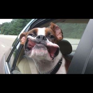 Meet your Posher, Patricia