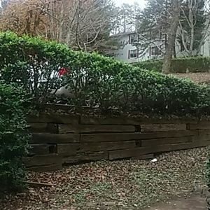 Meet your Posher, Donte