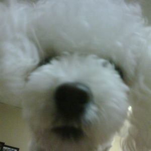 Meet your Posher, Ann