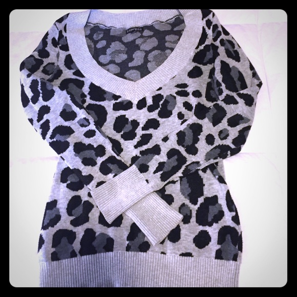 Express Leopard Sweater