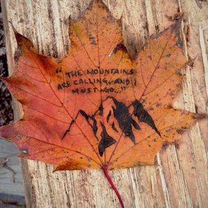 Meet your Posher, Kelli