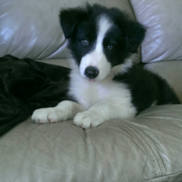 Hi my name is Erica!!! - Picture 3 of 3