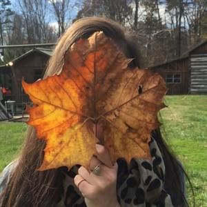 Meet your Posher, Alexis