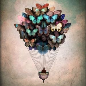 Meet your Posher, Colleen