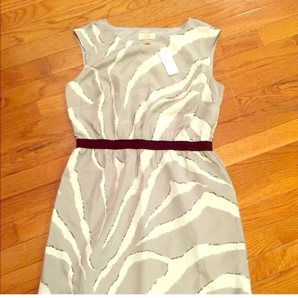 Brand new LOFT dress!