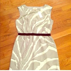 Brand new LOFT dress!