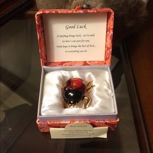 Best Friend/Good Luck Glass Ladybug Gift