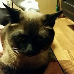 Meet your Posher, Stacey