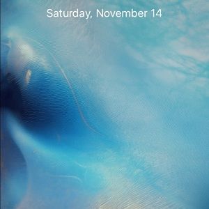 Meet your Posher, Rene