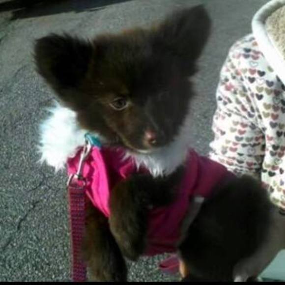 Meet your Posher, Lindsay