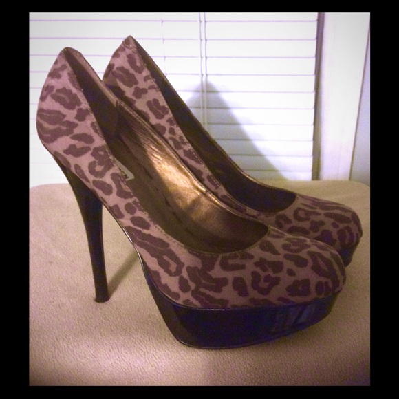 Steve Madden Ladies Shoes.