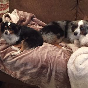 Meet your Posher, Kristy