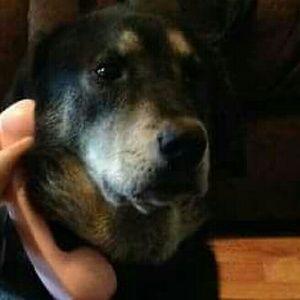 Meet your Posher, Vicki