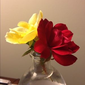 Meet your Posher, Sherry