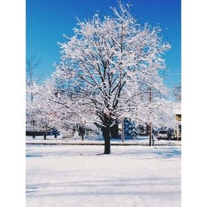 Meet your Posher, Eva