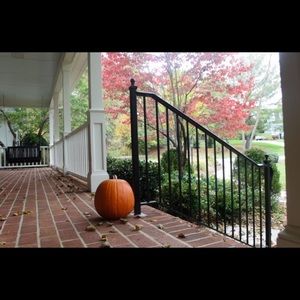 Meet your Posher, Elsa