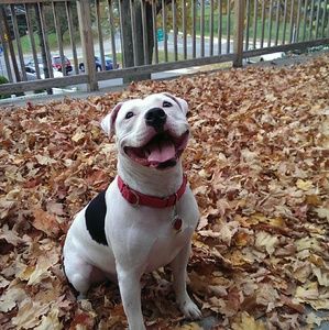 Meet your Posher, Joseph