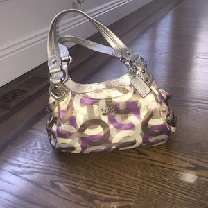 authentic coach hobo