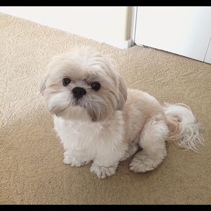 Meet your Posher, Esther