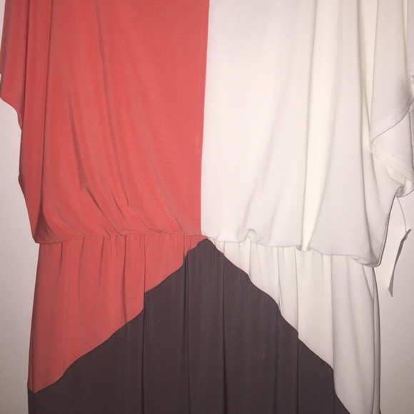 Tri-Color Dress! - Picture 3 of 3