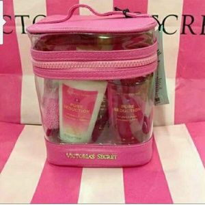 💕Victorian 💕Secret Mini's 💕