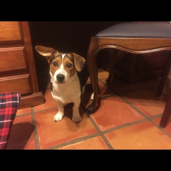 Meet your Posher, Gina