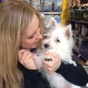 Meet your Posher, Emily